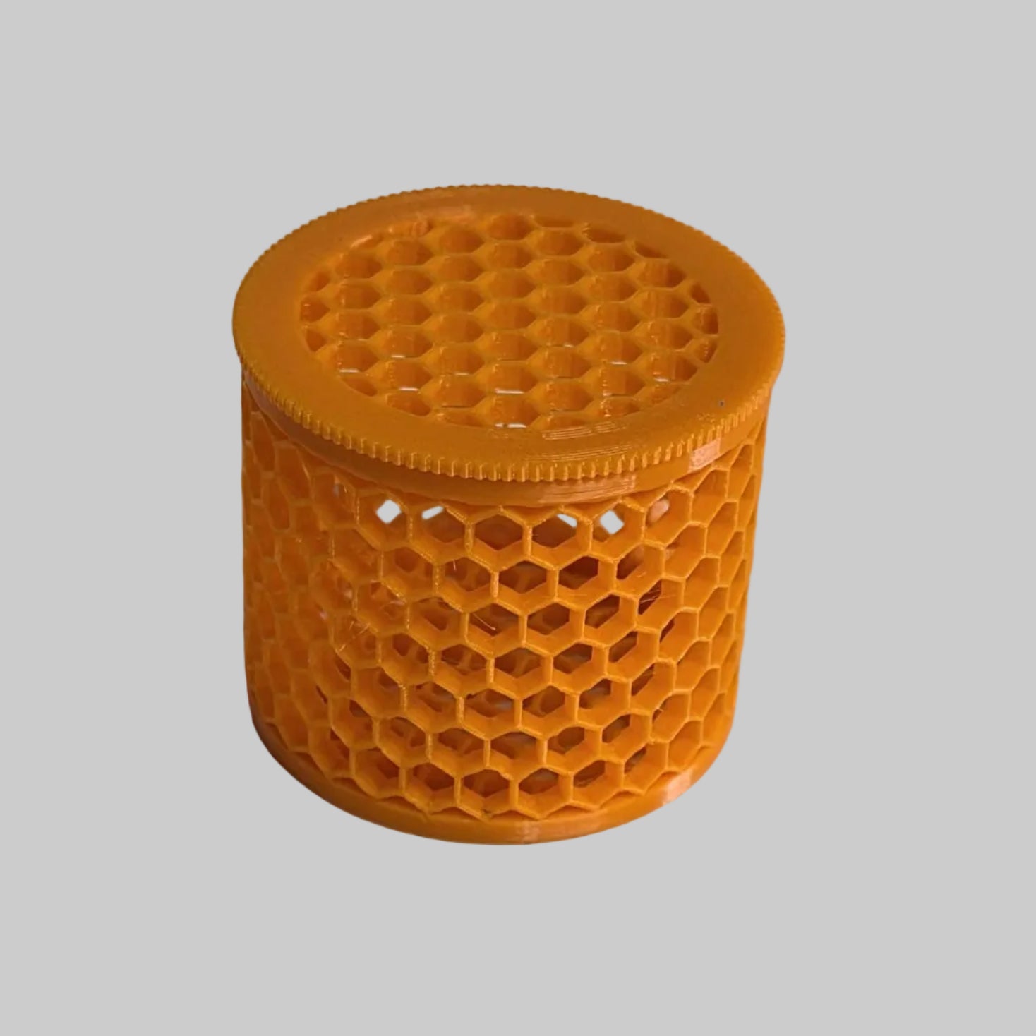 Coral Mushroom Anemone Cage with screw on lid | Reef tank | Saltwater | 3d Printed