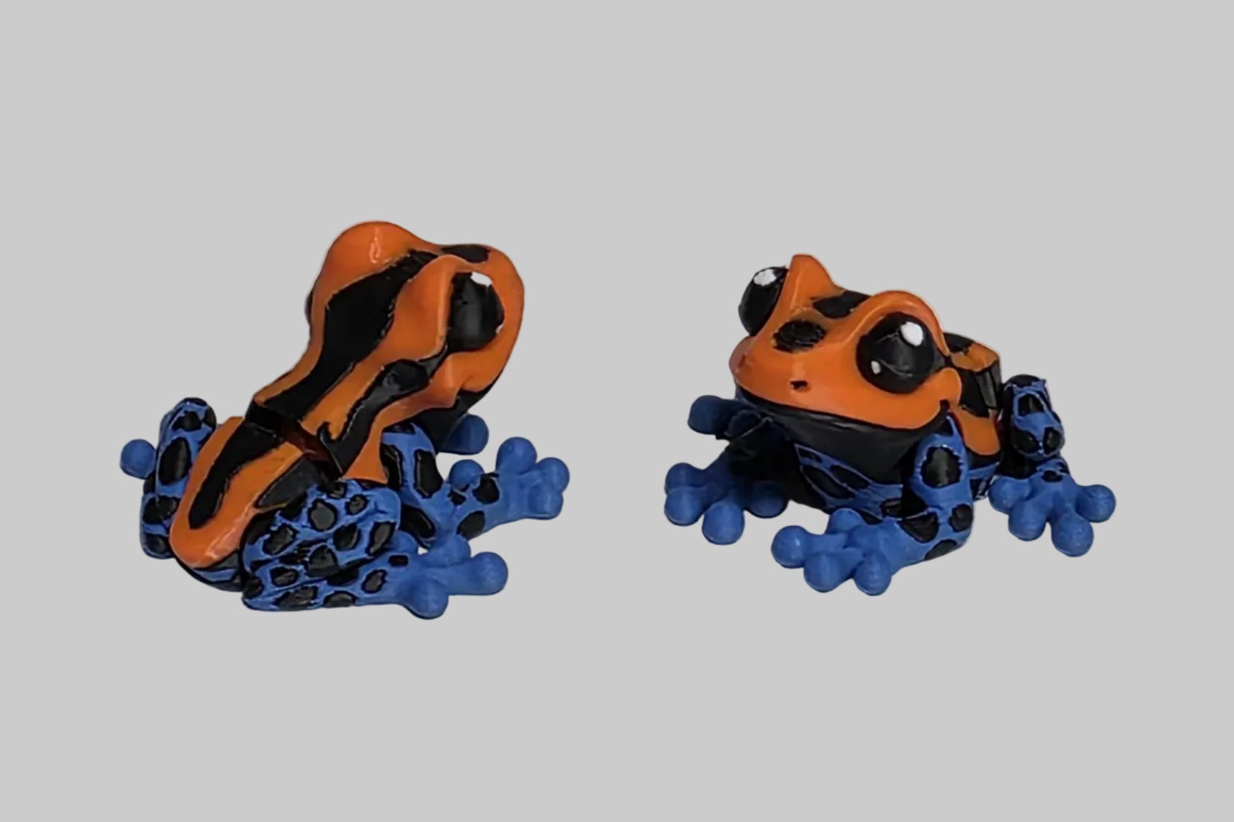 Mini Frogs | Normal, Tree, Poison Dart | Magnetic |3d Printed | 1.75 inches