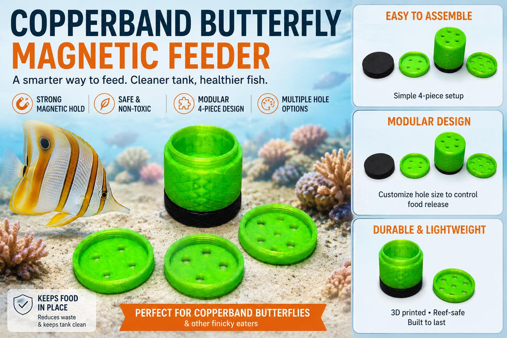 3D Printed Magnetic Copperband Butterfly Feeder – Knurled Design | Aquarium Feeding Station for Copperband | Includes 3 Feeding Caps | 40mm