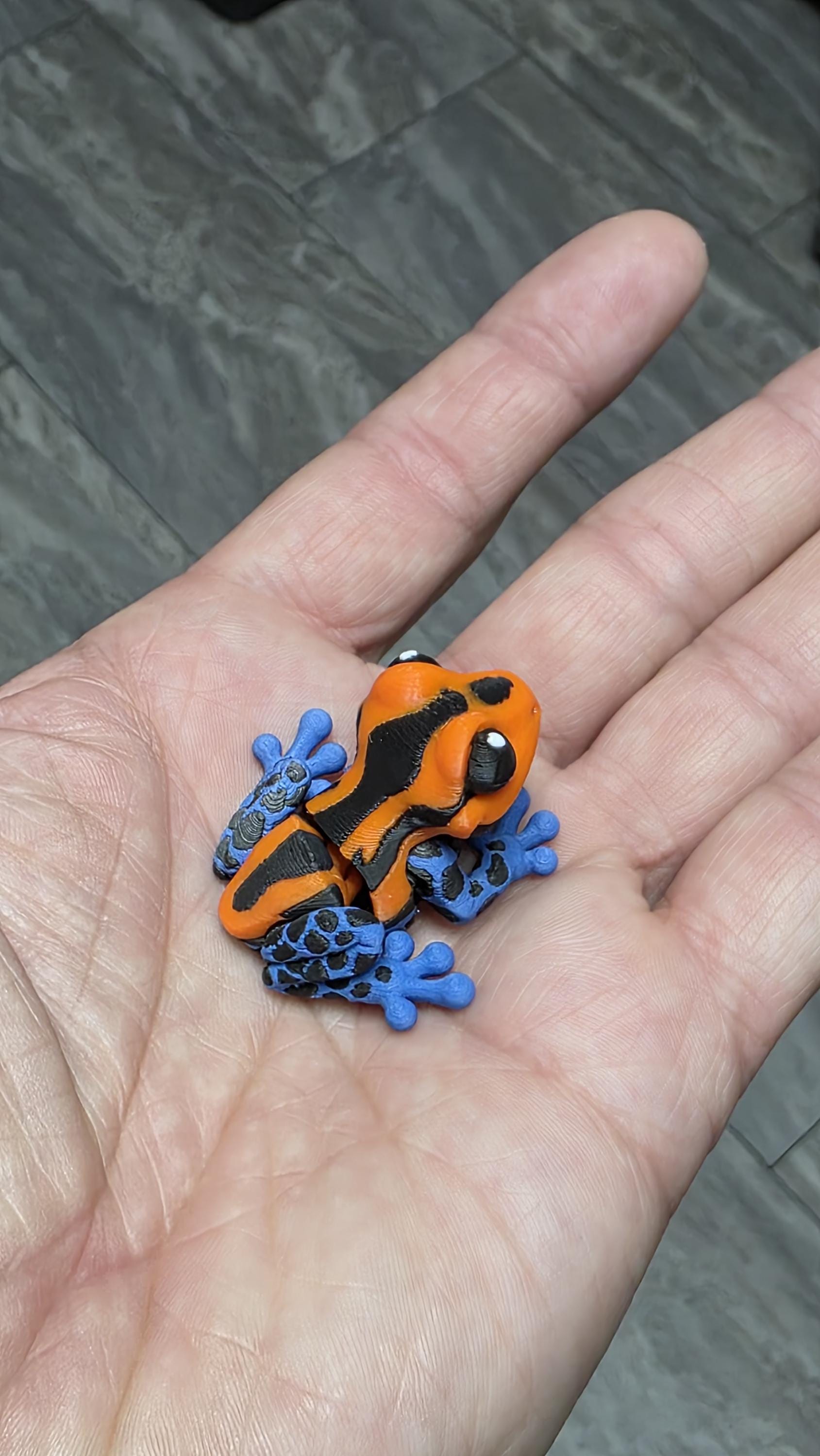 Mini Frogs | Normal, Tree, Poison Dart | Magnetic |3d Printed | 1.75 inches